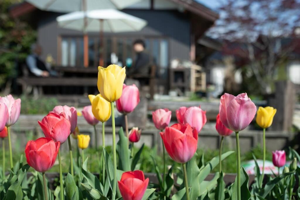 Villa ガーデンハウス道楽亭 à Sado Extérieur photo