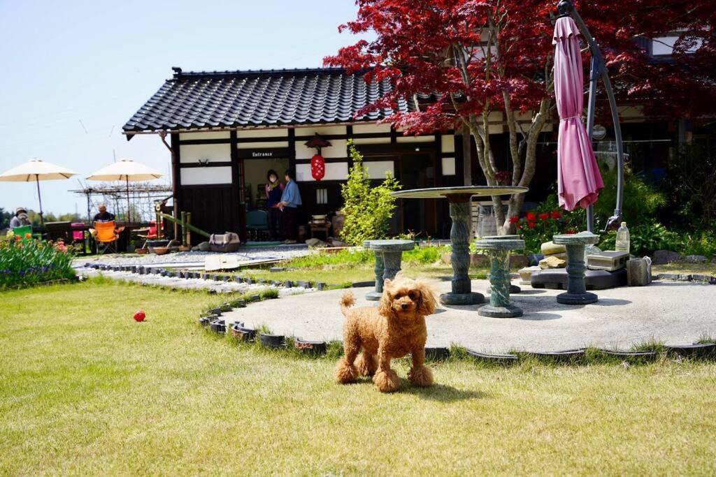 Villa ガーデンハウス道楽亭 à Sado Extérieur photo